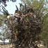 Chairs-Installation-1.jpg