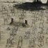 Circle_VideoStill3.jpg
