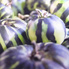 I-Prefer-the-Watermelon-2002.jpg