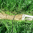 quick-production-of-autumn-2001.jpg