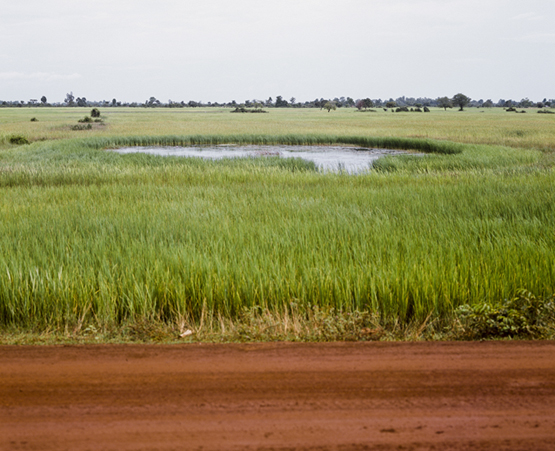 Vandy Rattana<br>
<em>Kompong Thom</em>, 2009<br> 
Digital C-Print. 90 x 111 cm. Courtesy of the artist.<br>
Exhibition: Vandy Rattana: Bomb Ponds<br>
Asia Society Museum<br> 
ACAW 2013