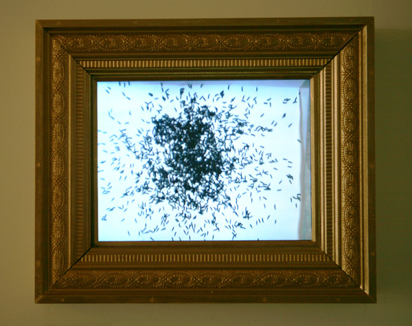 Yerbossyn Meldibekov
<br><em>Black Square</em>, 2005
<br>Still from video 
<br>Duration: 2:00