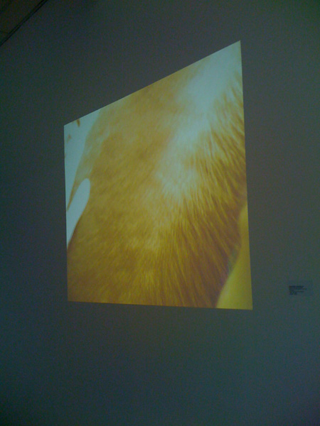 <center><em>The Silk Code</em>, 2008
<br>Installation view
<br>Exhibition curated by Leeza Ahmady in Astana, Kazakhstan</center>