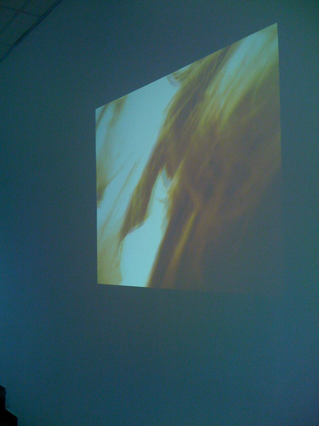 <center><em>The Silk Code</em>, 2008
<br>Installation view
<br>Exhibition curated by Leeza Ahmady in Astana, Kazakhstan</center>