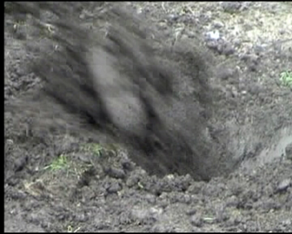 Rahraw Omarzad
<br>Still from <em>Sympathy</em>, 2004/5, Video
<br>Courtesy of the artist and Center for Contemporary Art Afghanistan (CCAA)