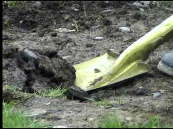 Rahraw Omarzad
<br>Still from <em>Sympathy</em>, 2004/5, Video
<br>Courtesy of the artist and Center for Contemporary Art Afghanistan (CCAA)