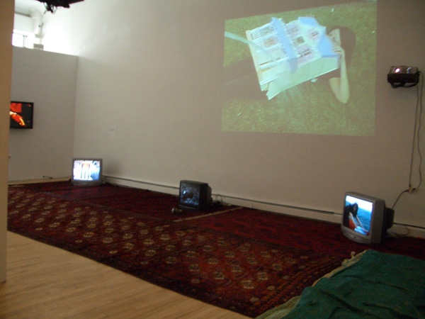 <center><em>The Taste of Others</em>
<br>Exhibition installation view
<br>Curated by Leeza Ahmady at apexart, New York, 2005</center>