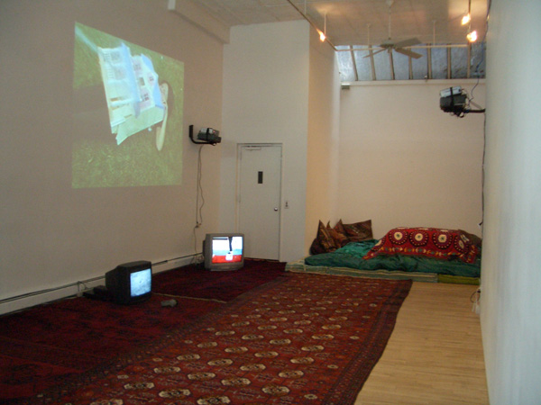 <center><em>The Taste of Others</em>
<br>Exhibition installation view
<br>Curated by Leeza Ahmady at apexart, New York, 2005</center>