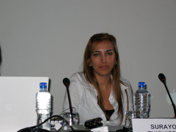<em>International Discourse vs. Local Vibrancy</em>
<br>Panel Discussion
<br>10th International Istanbul Biennial, 2007